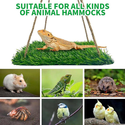 Parrot Turf Hammock Climbing Toy for Hamster Pet Bed Hanging Swing for Small Pet - Roundness - Factory Direct Shop