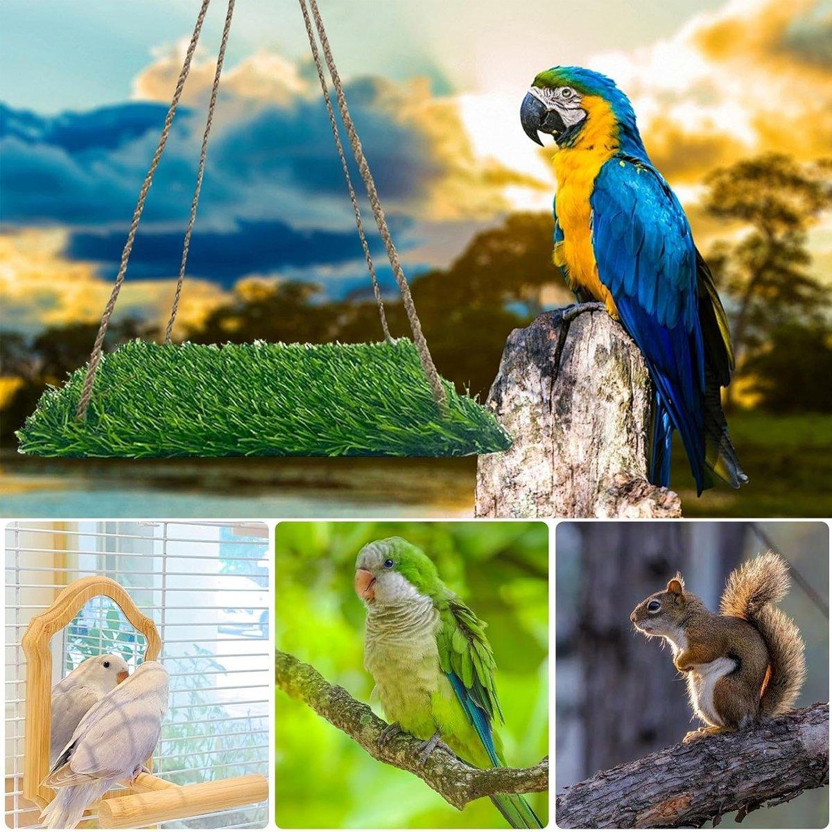 Parrot Turf Hammock Climbing Toy for Hamster Pet Bed Hanging Swing for Small Pet - Roundness - Factory Direct Shop