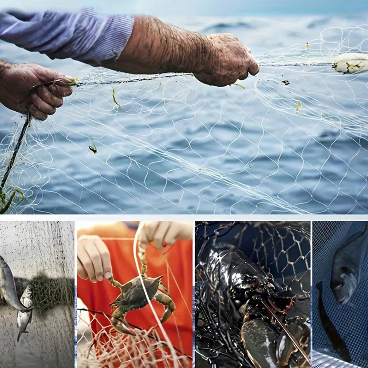Collage of images showing hands interacting with fishing nets and fish, with a focus on fishing activities.