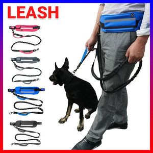 Adjustable Hands Free Dog Leash Lead + Waist Bag Belt Jogging Walking Running - Black+Grey