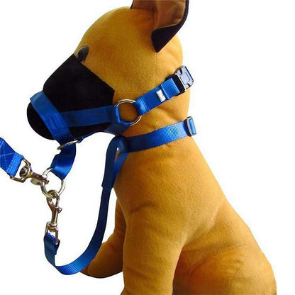 Black Dog Training Head Collar Halter Stop Pulling Training Tool Harness Strap Leader - M