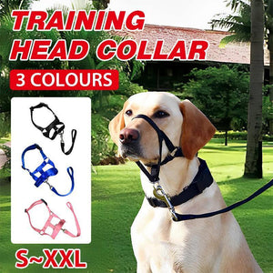 Black Dog Training Head Collar Halter Stop Pulling Training Tool Harness Strap Leader - XXL