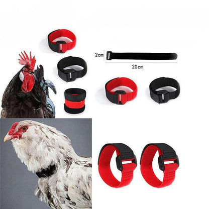 10pcs Rooster Anti Crow Collar Adjustable Nylon Neck Belt Poultry Sound Control - Black