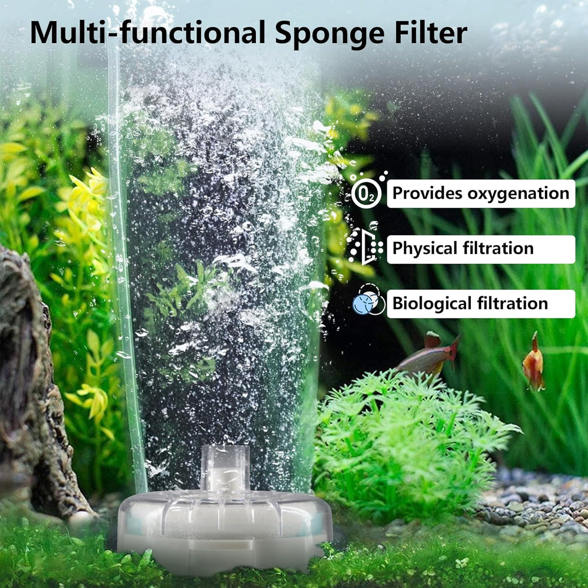 Aquarium Filter Special Mini Small Tank Filter Circle for Freshwater or Marine - 8cm Replacement Cotton*5