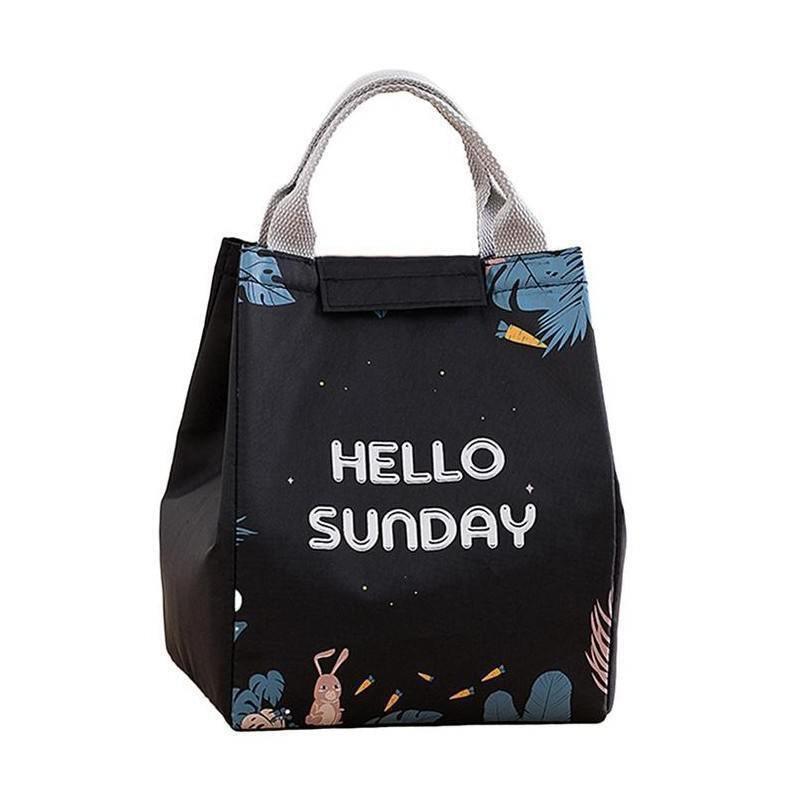 Portable Insulated Thermal Lunch Box Carry Tote Picnic Case Storage Bag 18x24x15cm - E05 (18x24x15cm)