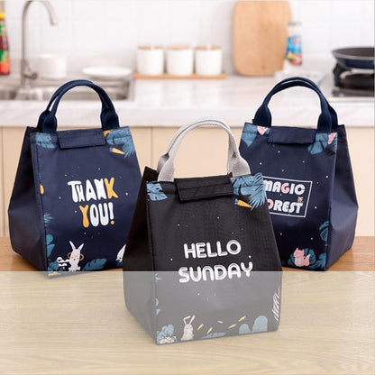 Portable Insulated Thermal Lunch Box Carry Tote Picnic Case Storage Bag 18x24x15cm - E07 (18x24x15cm)