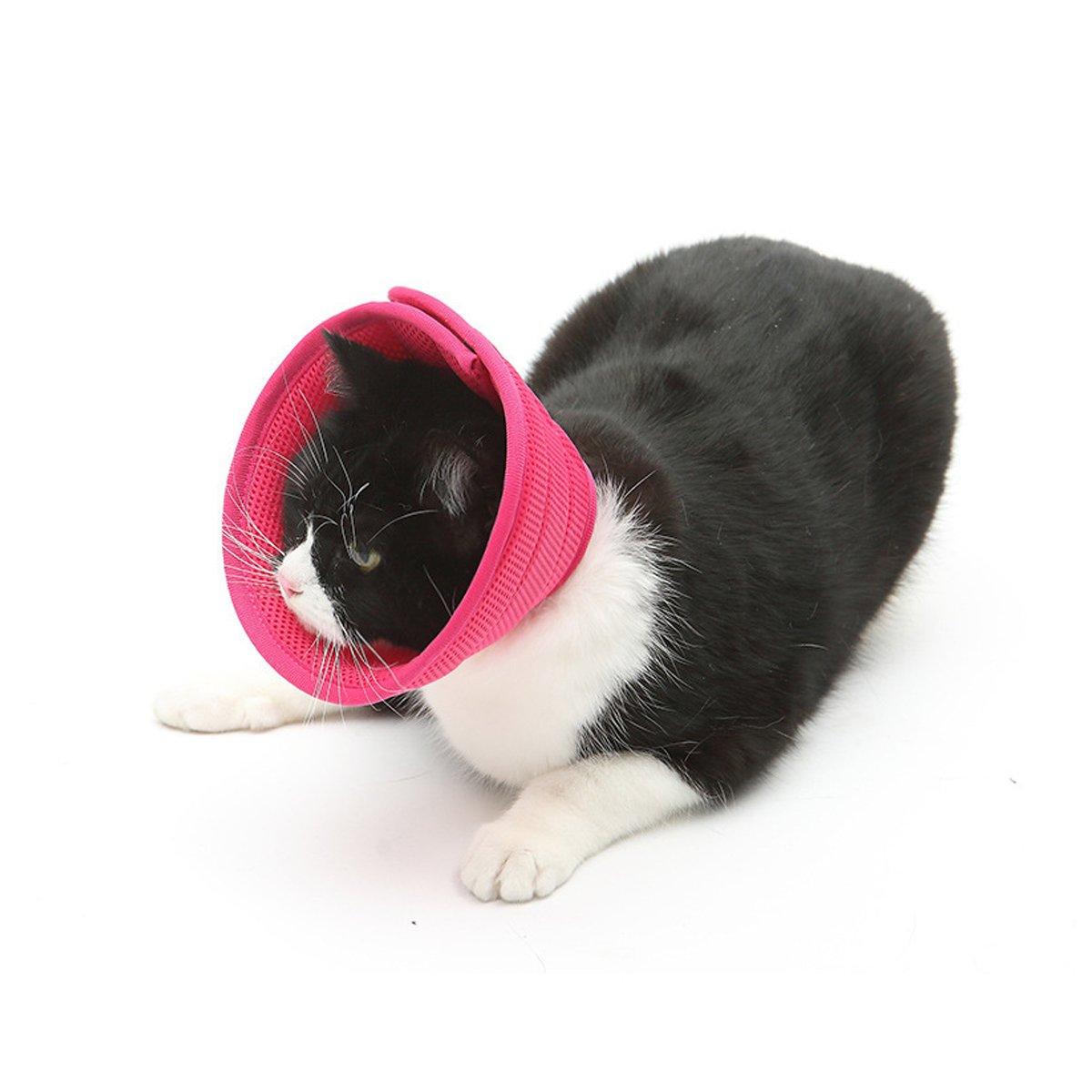 Elizabethan Collar Anti Licking Biting Pet Collar for Cats and Dogs Recovery Use - Grey - Size2 - Factory Direct Shop