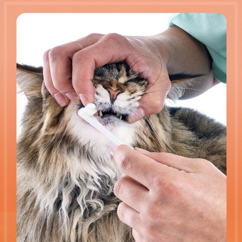 Pet Toothbrush Toothpaste Set for Cats and Dogs Vanilla Flavor Oral Care Kit - Factory Direct Shop