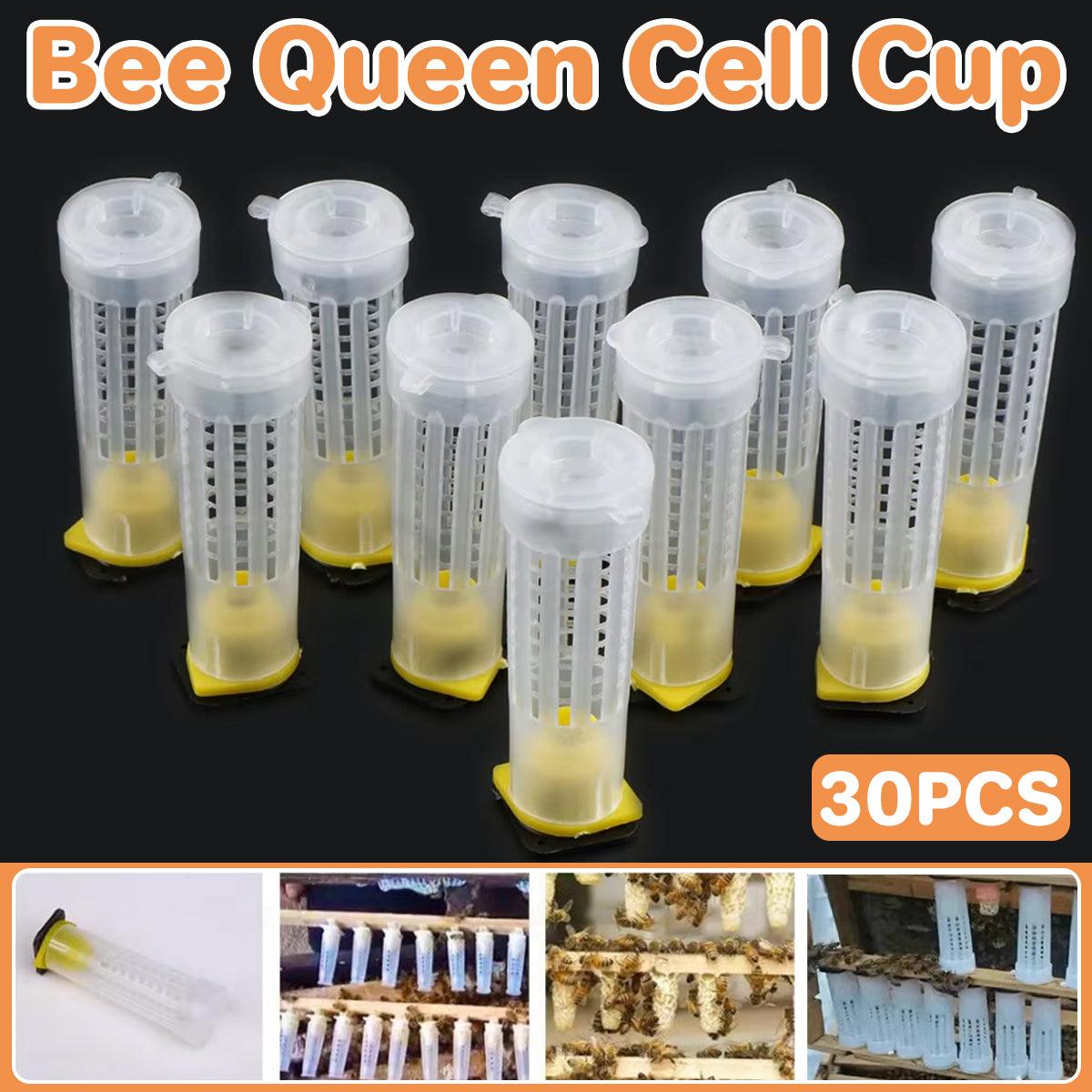 Bee Queen Cell Cup set with 30 pieces on a black background