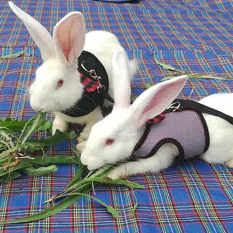 Rabbit Vest Harness Leash Lead Small Animal Pet Mesh Hamster Bunny Traction Rope S - Red