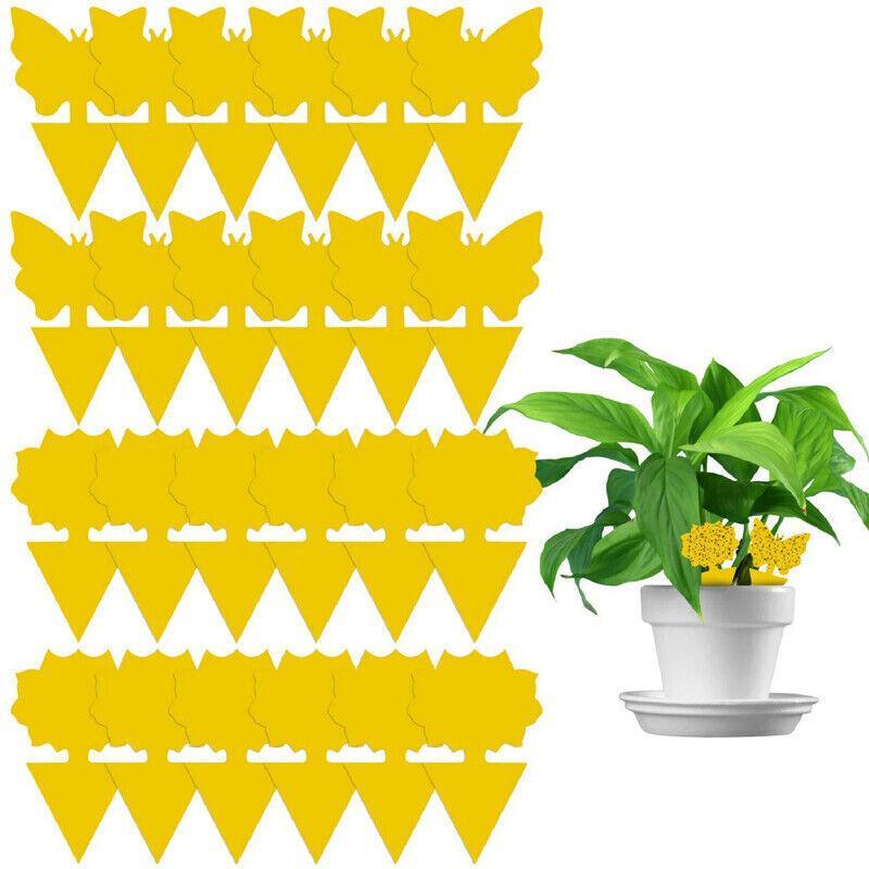 10X Dual Sided Sticky Trap Insect Killer Whitefly Thrip Fruit Fly Gnat - Butterfly 30PCS