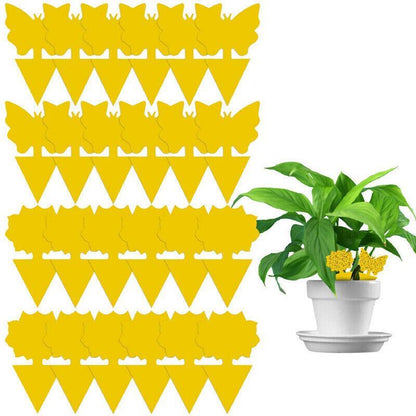 10X Dual Sided Sticky Trap Insect Killer Whitefly Thrip Fruit Fly Gnat - Butterfly 30PCS