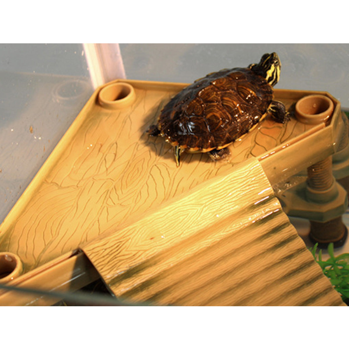 Floating Turtle Platform with Climbing Ramp for Aquariums and Reptile Tanks