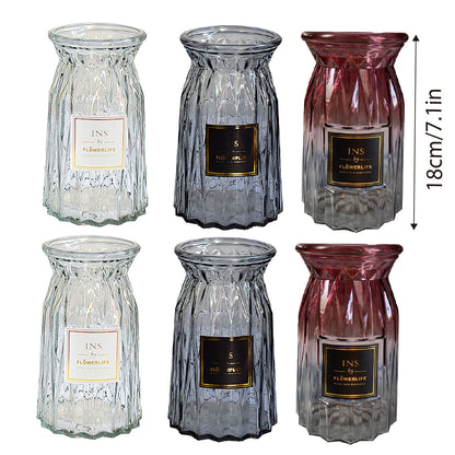 2 Pcs Glass Vase Hydroponic Flower Arrangement Vase for Living Room Decoration - Transparent