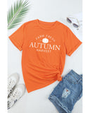 Azura Exchange Autumn Harvest Short Sleeve T-Shirt - XL