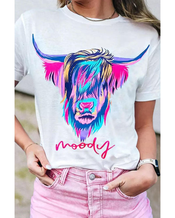Azura Exchange Highland Heifer Moody Graphic T-shirt - 2XL