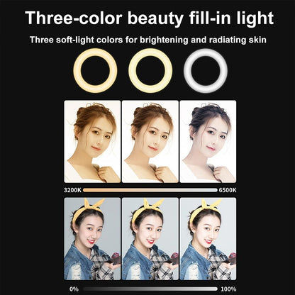 48leds Laptop Camera Beauty Ring Light - Clip Set 4-inch - Clip Set