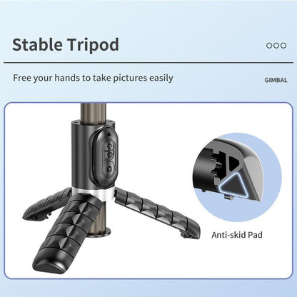 Desktop Gimbal Stabilizer with Fill Light and Selfie Stick - Black