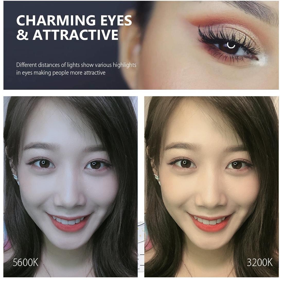 10.2 Ring Light with Usb 3 Modes Dual Colour Phone Clamp