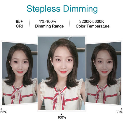 7.9 Usb 3 Modes Dimmable Dual Colour Led Ring Light with Mirror for Vlogging and Photography - Black