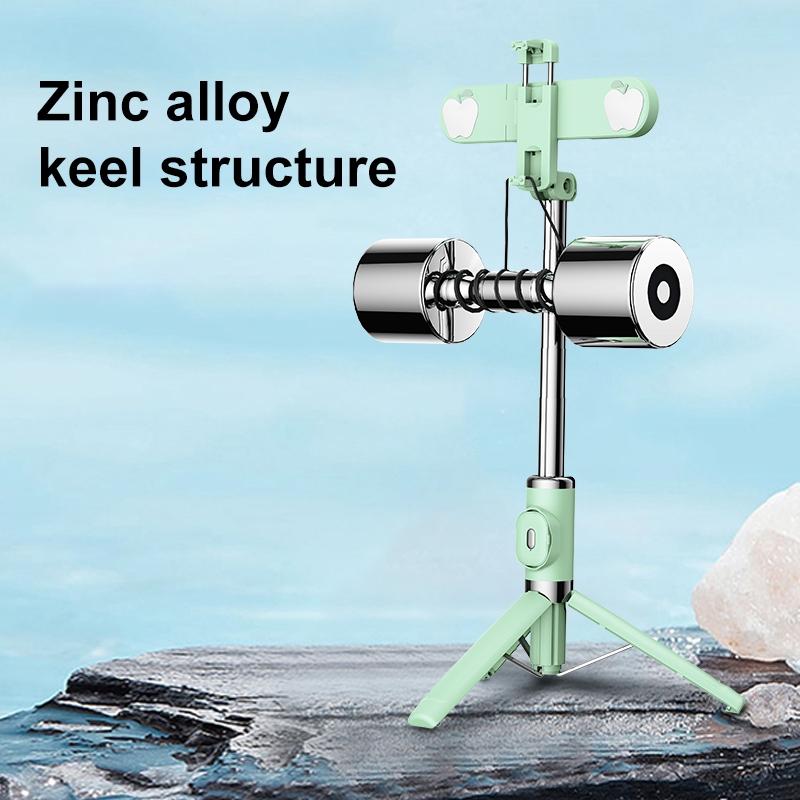 Bluetooth Remote Selfie Stick with Dual Fill Light and Tripod - Black