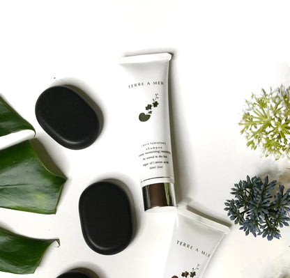 2x Terre A Mer Pure Hydration Amino Acid/Argan Conditioner - 60ml Travel Size