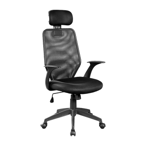 Ergonomic Mesh Office Chair