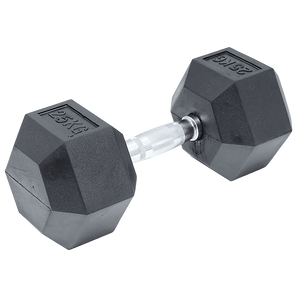 A single 25kg commercial rubber hex dumbbell with chrome handle.