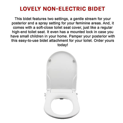 Non Electric Bidet Toilet Seat W/ Cover Bathroom Washlet Spray Water Wash