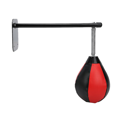 Hanging Speed Ball with Wall Mount Bracket