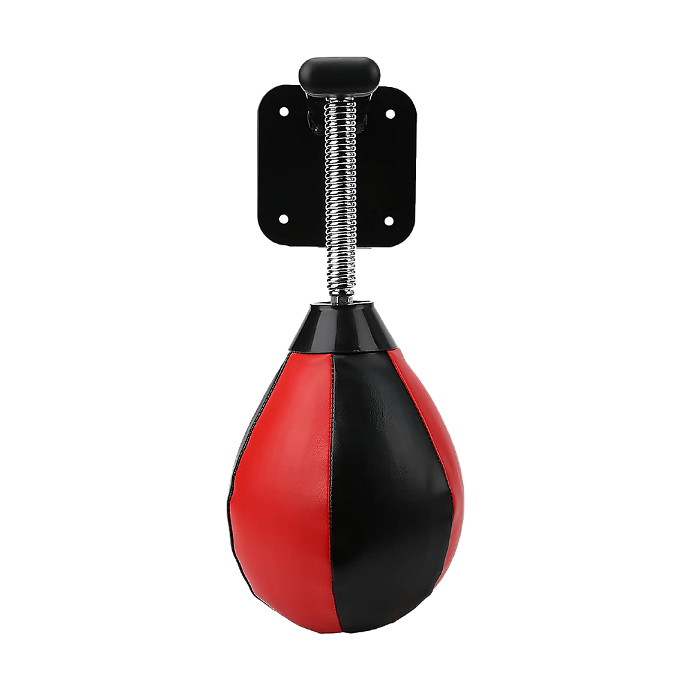 Hanging Speed Ball with Wall Mount Bracket