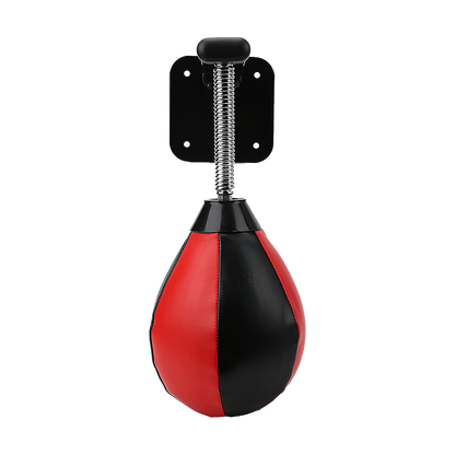 Hanging Speed Ball with Wall Mount Bracket