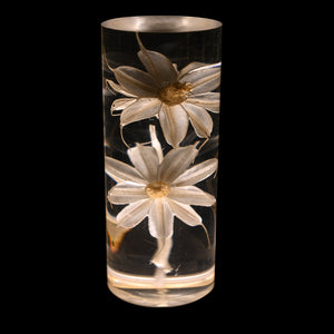 Daisy Eternal Flower Acrylic Table Lamp - Color-Changing LED, USB Rechargeable, Touch Control