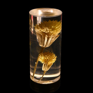 Dandelion Grass Eternal Flower Acrylic Table Lamp - Color-Changing LED, USB Rechargeable, Touch Control