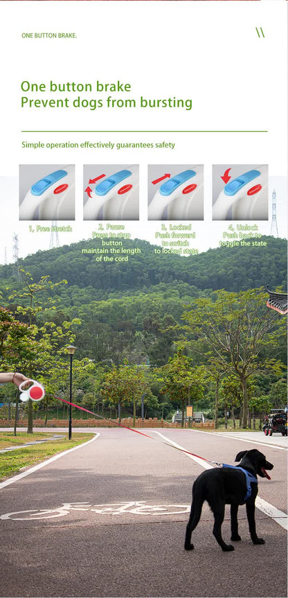 Black 5M Retractable Dog Leash - With Small Box, Suitable For Small And Medium Dogs