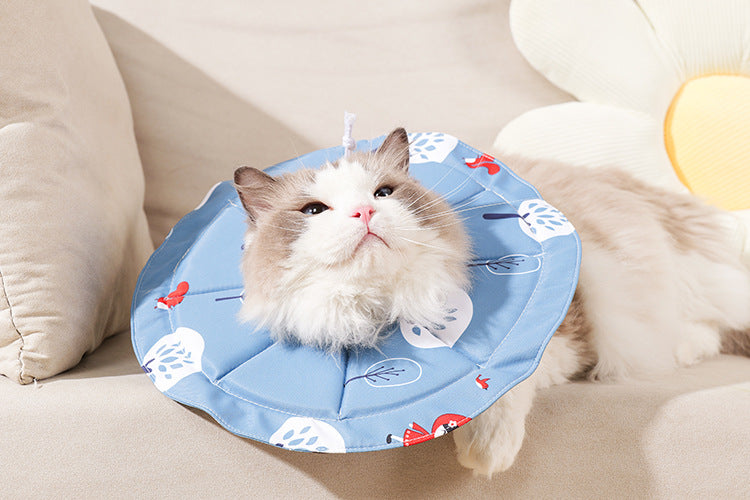 2 Pcs Size M Blue Comfortable Pet Recovery Collar | Waterproof Anti - Lick Collar for Cats & Dogs - Factory Direct Shop