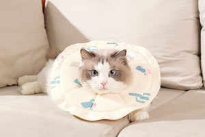 2 Pcs Size S Beige Comfortable Pet Recovery Collar | Waterproof Anti - Lick Collar for Cats & Dogs - Factory Direct Shop