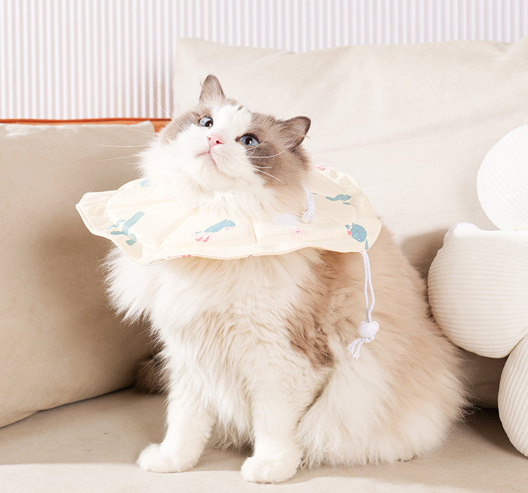2 Pcs Size S Beige Comfortable Pet Recovery Collar | Waterproof Anti - Lick Collar for Cats & Dogs - Factory Direct Shop
