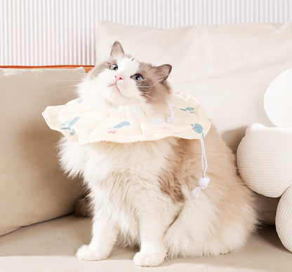 2 Pcs Size L Beige Comfortable Pet Recovery Collar | Waterproof Anti - Lick Collar for Cats & Dogs - Factory Direct Shop
