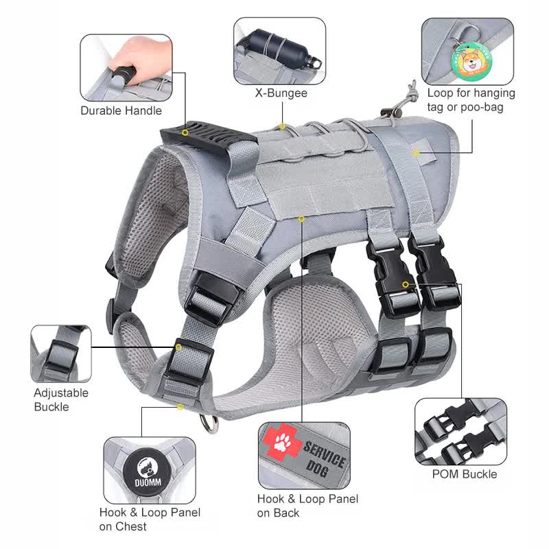 Gray dog harness with features highlighted on a white background
