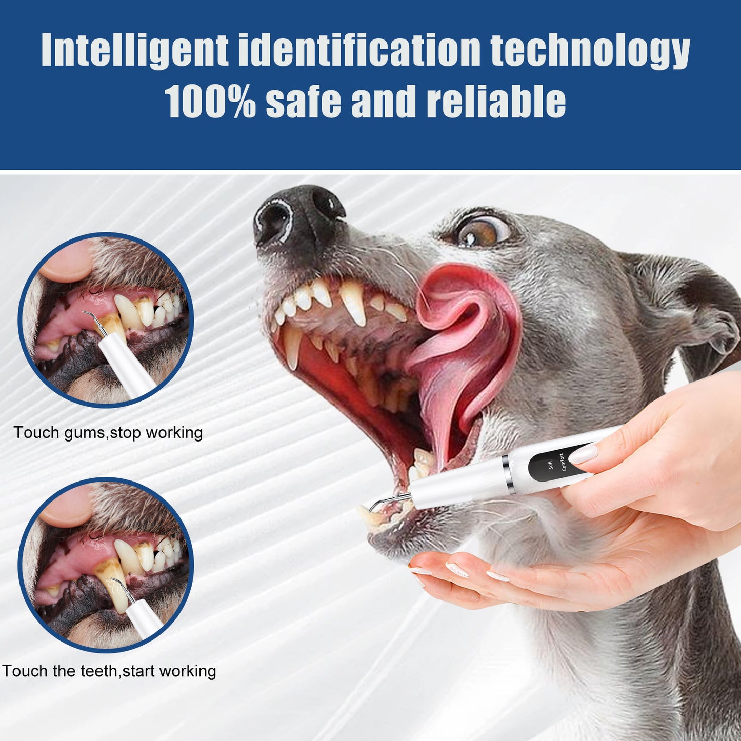 White Professional Pet Dental Cleaning Kit - Ultrasonic Scaler, Tools & 3 Modes - Factory Direct Shop