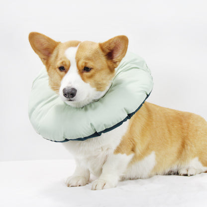 Green Adjustable Soft Elizabethan Collar for Pets - Comfortable Recovery Aid - M - Factory Direct Shop