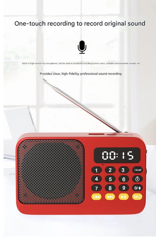 Portable Digital Music Player & FM Radio,4 Playback Modes, LED Flashlight(Gray) - Factory Direct Shop