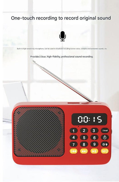 Portable Digital Music Player & FM Radio,4 Playback Modes, LED Flashlight(Gray) - Factory Direct Shop