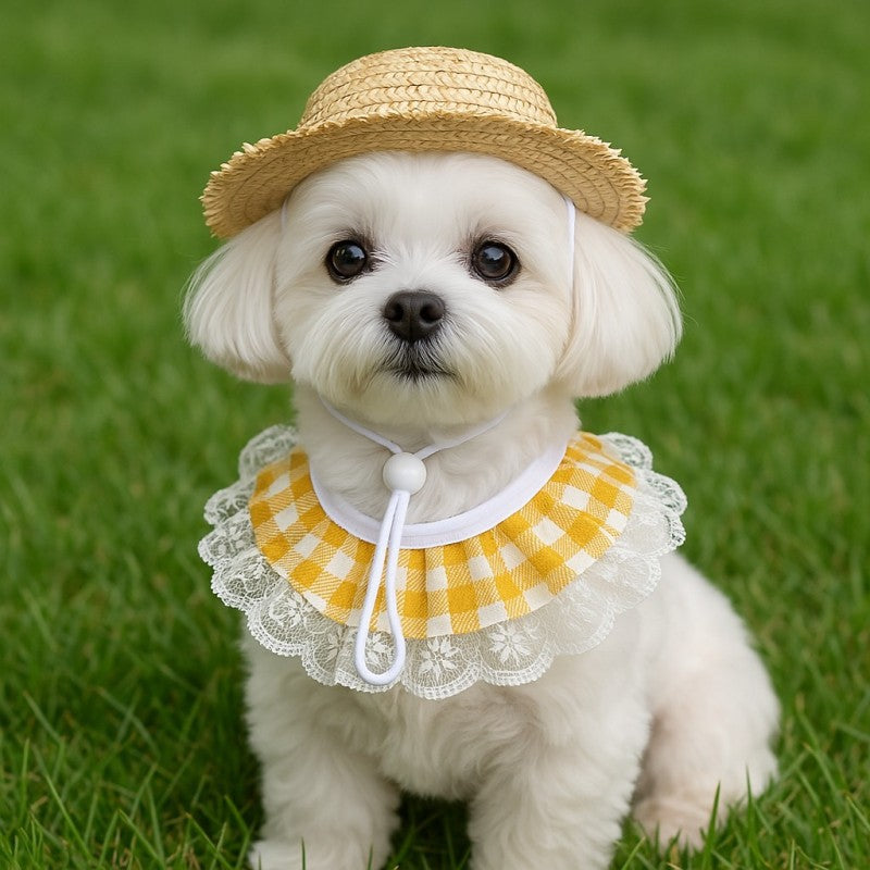 Khaki and Yellow 2 Sets Adorable Porch Goose & Small Pet Costume Set - 2 Summer Straw Hat & 2 Gingham Bib - Factory Direct Shop