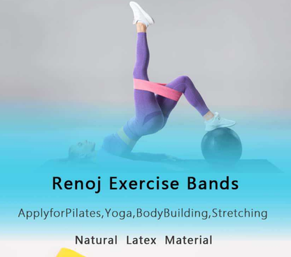 Pink 10 Pieces of 2 Sets Premium Resistance Loop Bands - Fitness Exercise Bands for Legs, Glutes, and Strength Training with Carry Bag