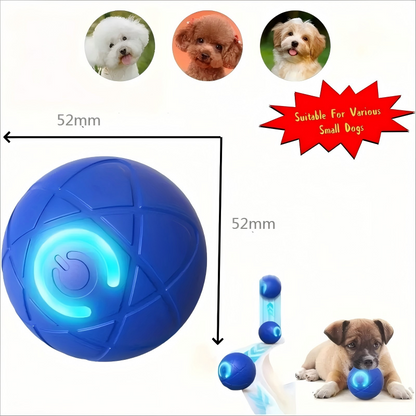 2 - PCS Blue Intelligent Gravity Jump Ball - Dynamic Bite - Resistant Pet Toy for Cats & Small to Medium Breeds - USB - C Rechargeable - Factory Direct Shop