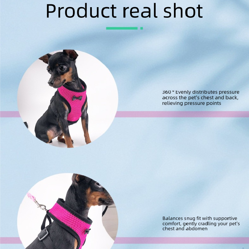 2 - Pcs Pink Adjustable Pet Harness with Leash – Breathable Mesh Design for Small Dogs, Cats, Chickens, Ducks & More | Anti - Escape, 360° Support, Lightweight & Comfortable in Australia(Size:XL) - Factory Direct Shop