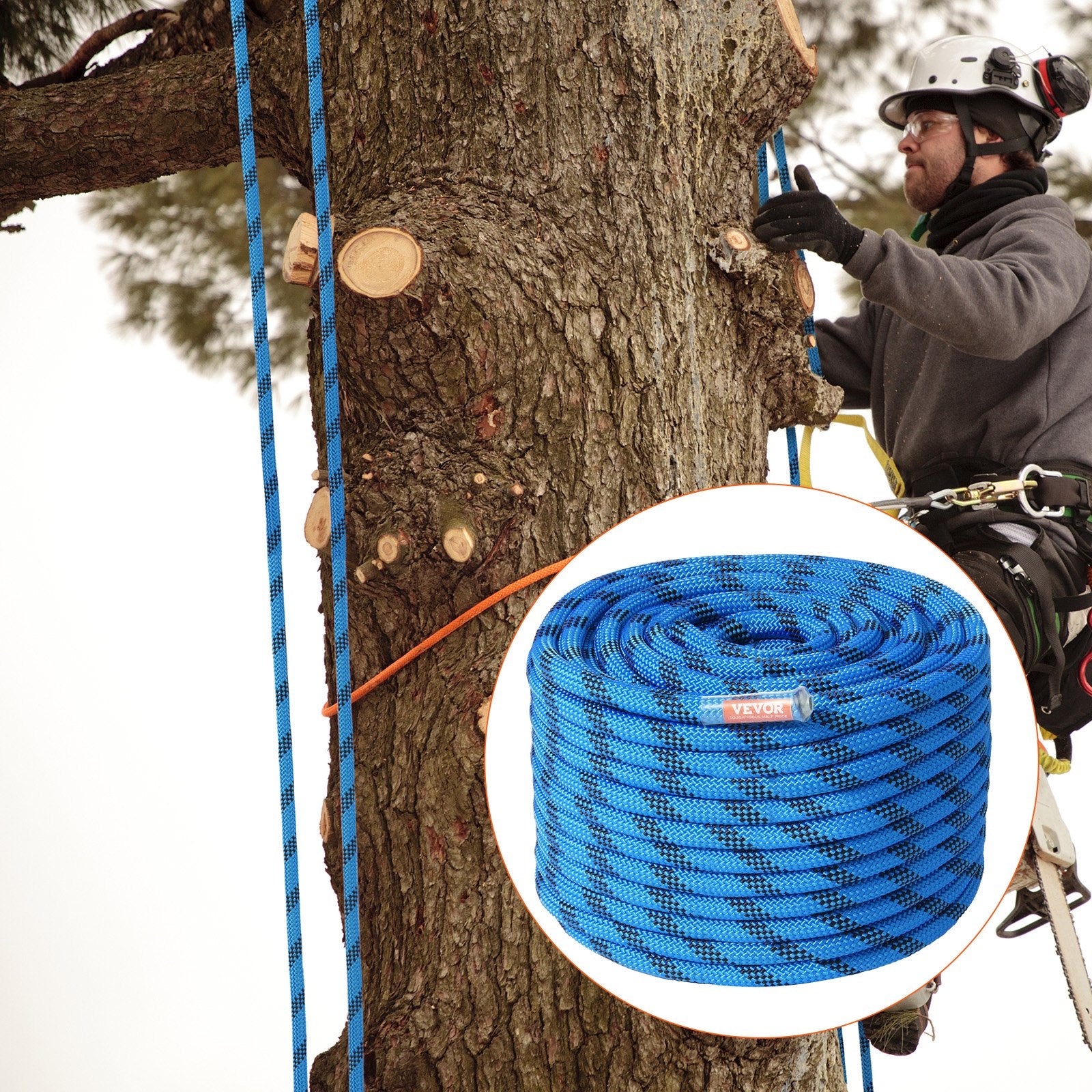 Person climbing a tree with a roll of blue Climbing Rope in the foreground