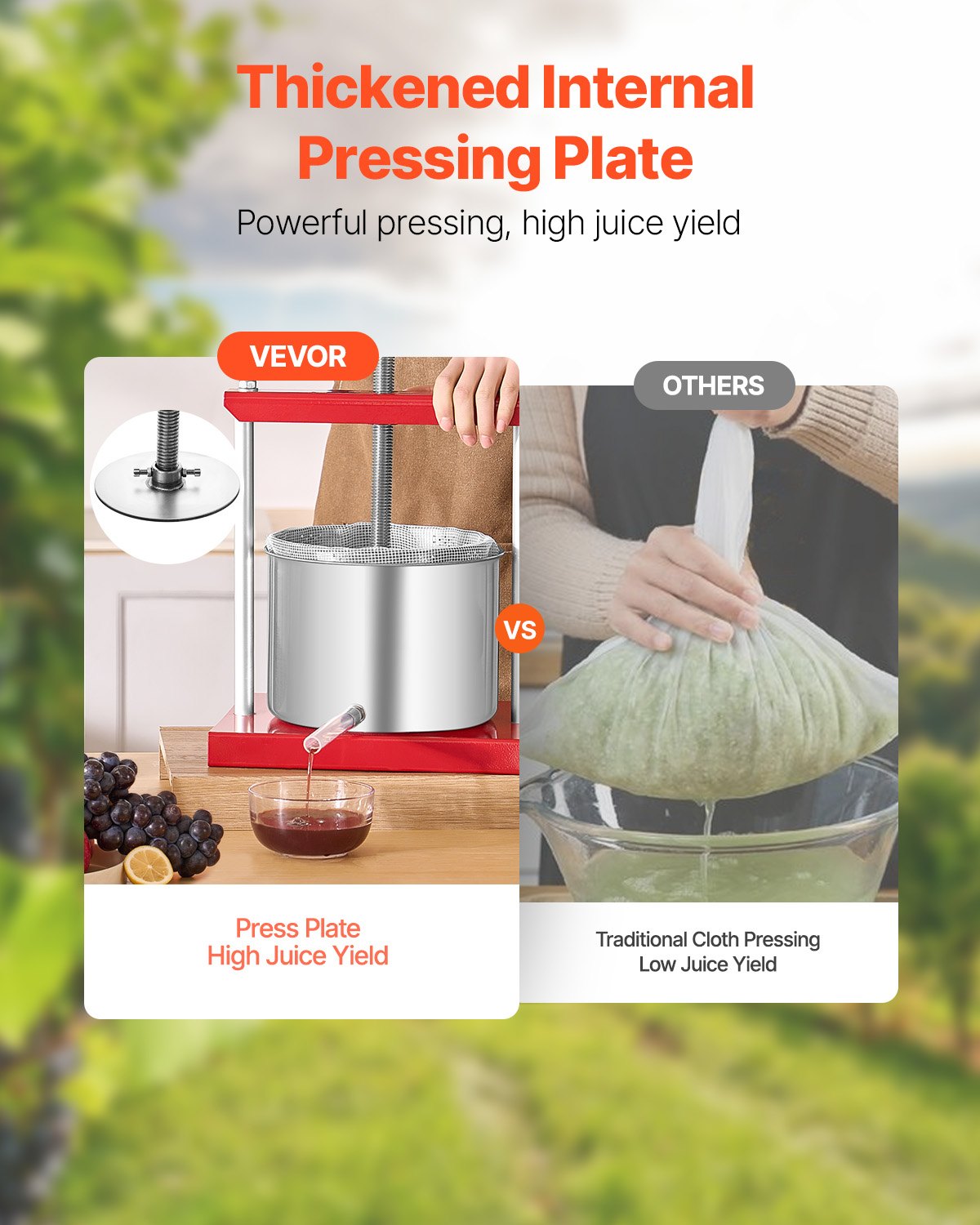 Fruit Wine Press Manual Press for Wine Making 1.6 Gal/6L Stainless Steel